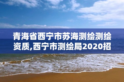 青海省西宁市苏海测绘测绘资质,西宁市测绘局2020招聘