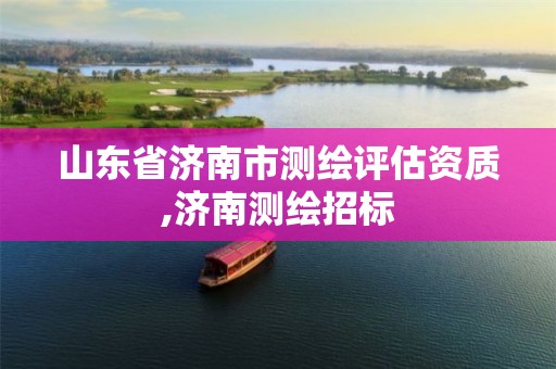 山东省济南市测绘评估资质,济南测绘招标