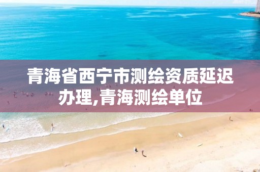 青海省西宁市测绘资质延迟办理,青海测绘单位