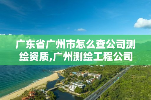 广东省广州市怎么查公司测绘资质,广州测绘工程公司