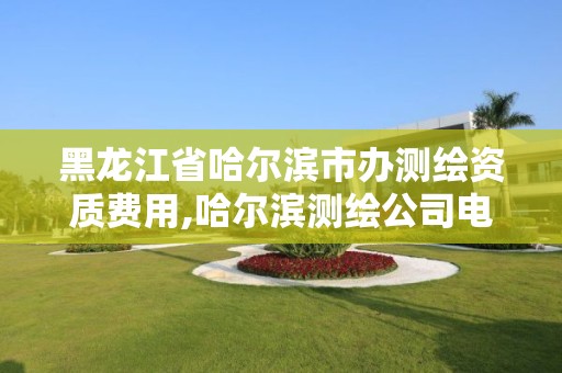 黑龙江省哈尔滨市办测绘资质费用,哈尔滨测绘公司电话