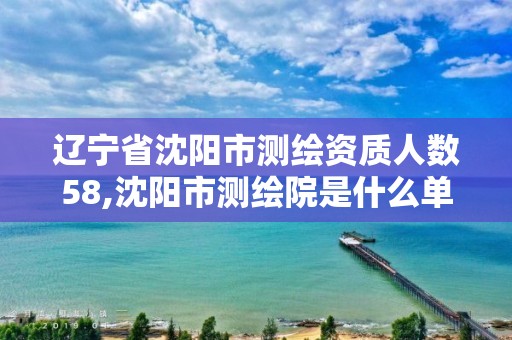 辽宁省沈阳市测绘资质人数58,沈阳市测绘院是什么单位