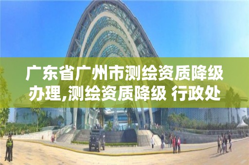 广东省广州市测绘资质降级办理,测绘资质降级 行政处罚