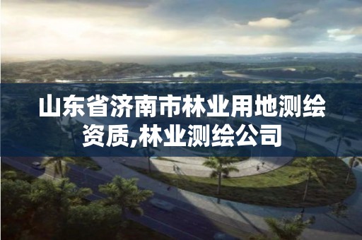 山东省济南市林业用地测绘资质,林业测绘公司