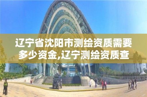 辽宁省沈阳市测绘资质需要多少资金,辽宁测绘资质查询