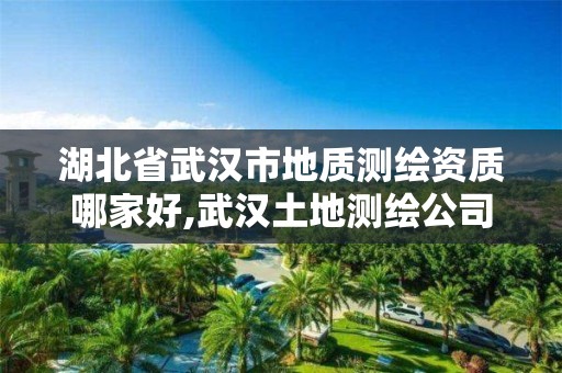 湖北省武汉市地质测绘资质哪家好,武汉土地测绘公司