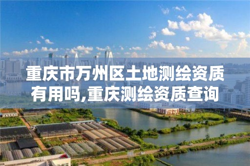 重庆市万州区土地测绘资质有用吗,重庆测绘资质查询