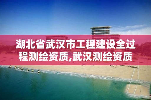 湖北省武汉市工程建设全过程测绘资质,武汉测绘资质代办