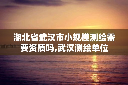 湖北省武汉市小规模测绘需要资质吗,武汉测绘单位