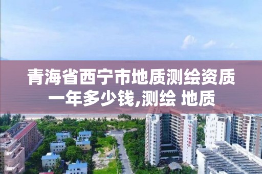 青海省西宁市地质测绘资质一年多少钱,测绘 地质