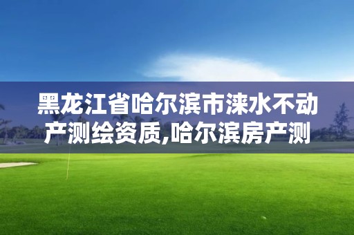 黑龙江省哈尔滨市涞水不动产测绘资质,哈尔滨房产测绘公司电话