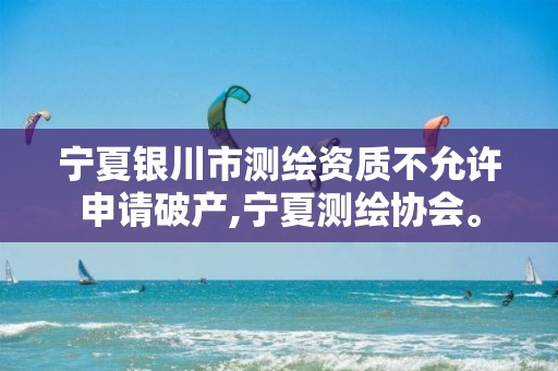 宁夏银川市测绘资质不允许申请破产,宁夏测绘协会。