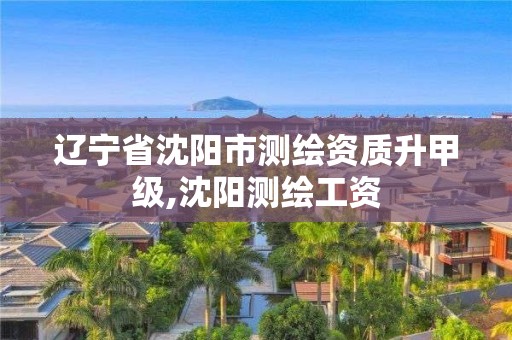 辽宁省沈阳市测绘资质升甲级,沈阳测绘工资