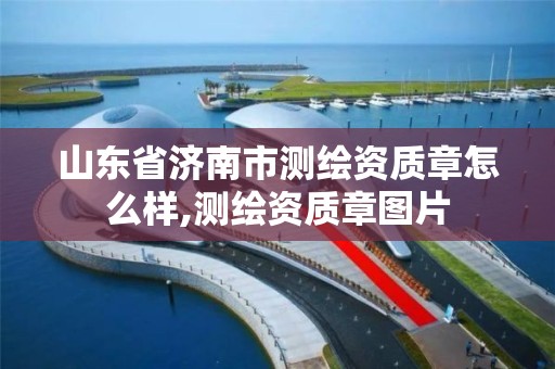 山东省济南市测绘资质章怎么样,测绘资质章图片