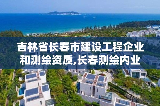 吉林省长春市建设工程企业和测绘资质,长春测绘内业招聘