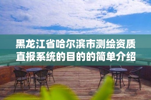 黑龙江省哈尔滨市测绘资质直报系统的目的的简单介绍