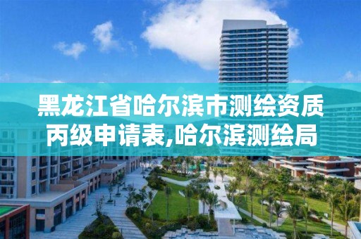 黑龙江省哈尔滨市测绘资质丙级申请表,哈尔滨测绘局是干什么的