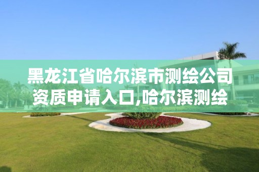 黑龙江省哈尔滨市测绘公司资质申请入口,哈尔滨测绘公司哪家好