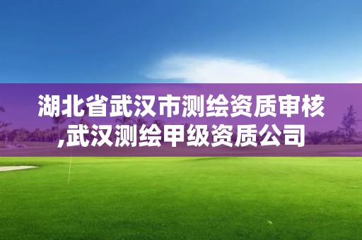 湖北省武汉市测绘资质审核,武汉测绘甲级资质公司