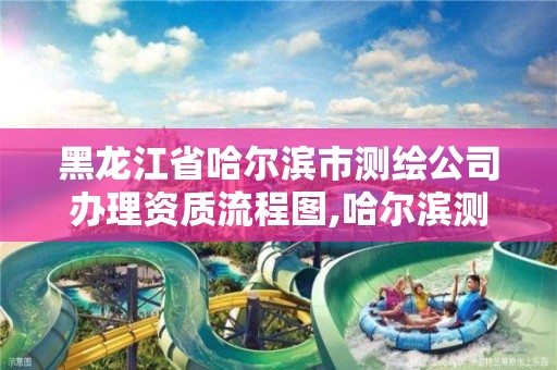 黑龙江省哈尔滨市测绘公司办理资质流程图,哈尔滨测绘院地址。