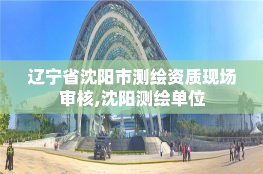 辽宁省沈阳市测绘资质现场审核,沈阳测绘单位