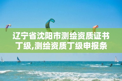 辽宁省沈阳市测绘资质证书丁级,测绘资质丁级申报条件