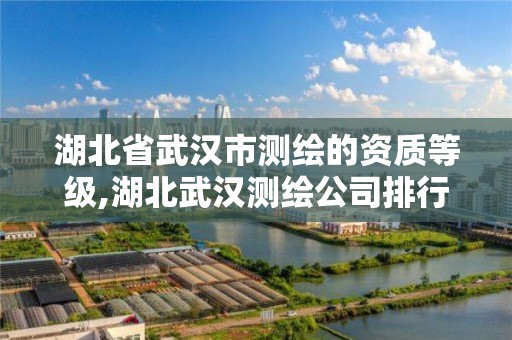 湖北省武汉市测绘的资质等级,湖北武汉测绘公司排行榜