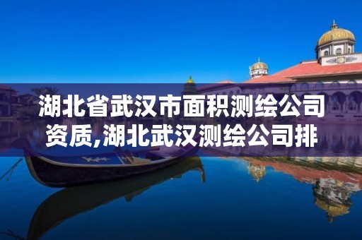 湖北省武汉市面积测绘公司资质,湖北武汉测绘公司排行榜