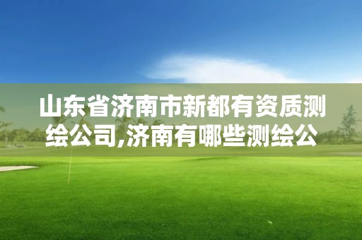 山东省济南市新都有资质测绘公司,济南有哪些测绘公司