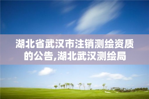 湖北省武汉市注销测绘资质的公告,湖北武汉测绘局