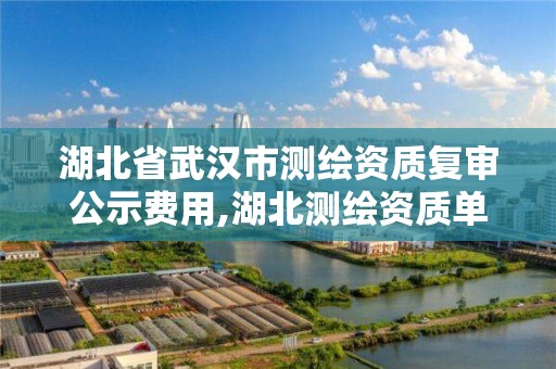 湖北省武汉市测绘资质复审公示费用,湖北测绘资质单位