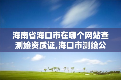 海南省海口市在哪个网站查测绘资质证,海口市测绘公司。