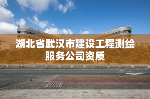 湖北省武汉市建设工程测绘服务公司资质