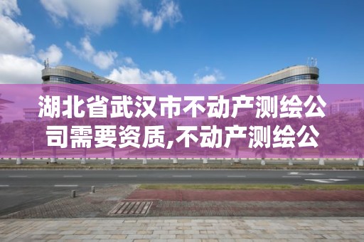 湖北省武汉市不动产测绘公司需要资质,不动产测绘公司条件。