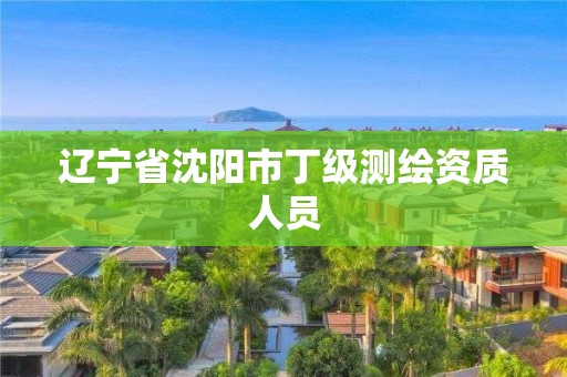 辽宁省沈阳市丁级测绘资质人员