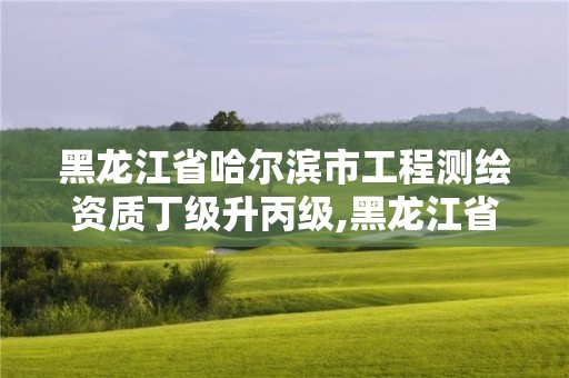 黑龙江省哈尔滨市工程测绘资质丁级升丙级,黑龙江省测绘资质延期通知。