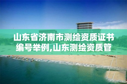 山东省济南市测绘资质证书编号举例,山东测绘资质管理平台。