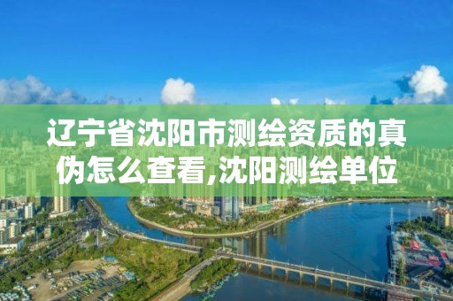 辽宁省沈阳市测绘资质的真伪怎么查看,沈阳测绘单位排名