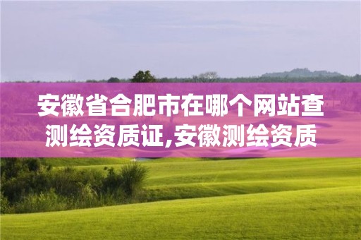 安徽省合肥市在哪个网站查测绘资质证,安徽测绘资质查询系统。