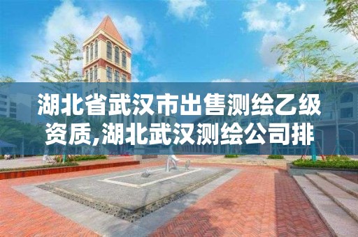 湖北省武汉市出售测绘乙级资质,湖北武汉测绘公司排行榜