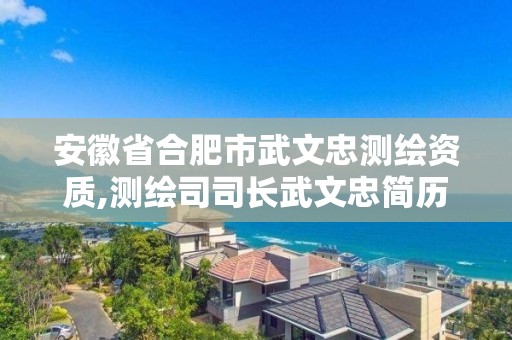 安徽省合肥市武文忠测绘资质,测绘司司长武文忠简历。