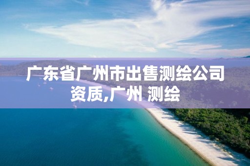 广东省广州市出售测绘公司资质,广州 测绘