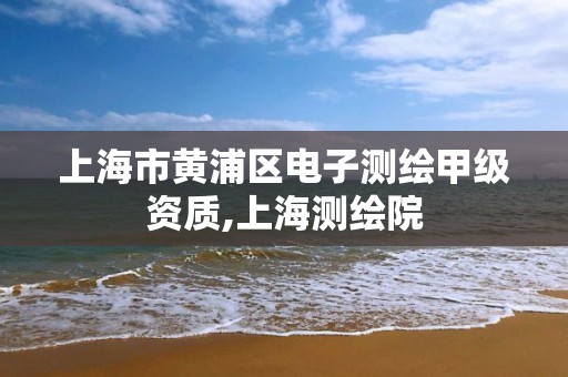 上海市黄浦区电子测绘甲级资质,上海测绘院