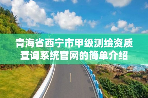 青海省西宁市甲级测绘资质查询系统官网的简单介绍