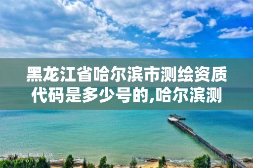 黑龙江省哈尔滨市测绘资质代码是多少号的,哈尔滨测绘局是干什么的。