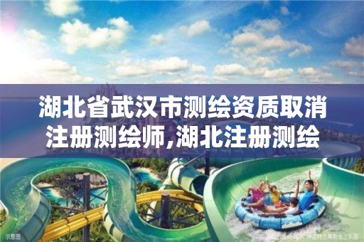 湖北省武汉市测绘资质取消注册测绘师,湖北注册测绘师合格人员公示