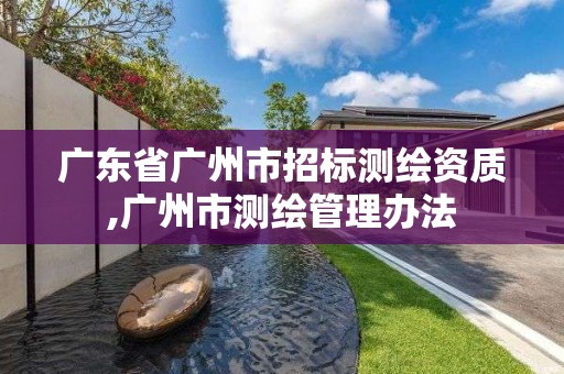 广东省广州市招标测绘资质,广州市测绘管理办法