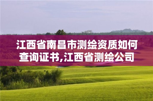 江西省南昌市测绘资质如何查询证书,江西省测绘公司