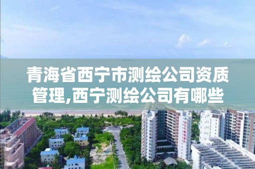 青海省西宁市测绘公司资质管理,西宁测绘公司有哪些