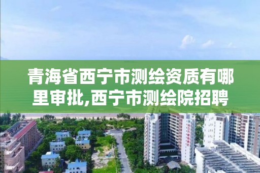 青海省西宁市测绘资质有哪里审批,西宁市测绘院招聘公示